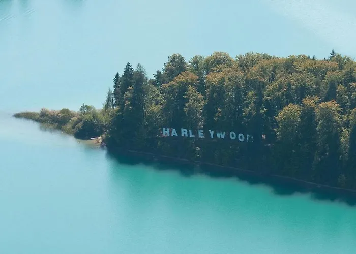 Alpe-adria Chanel Oberaichwald (Carinthia)